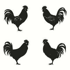 Pet poultry silhouettes and icons. Black flat color simple elegant Pet poultry animal vector and illustration.