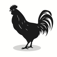 Pet poultry silhouettes and icons. Black flat color simple elegant Pet poultry animal vector and illustration.