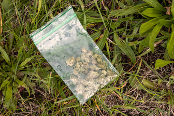 Plastic bags with plant buttons; litter; discarded bags.