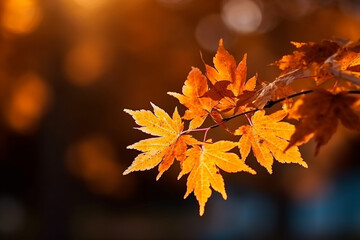 Naklejka na ściany i meble Beautiful maple tree with autumn background.Generative Ai.