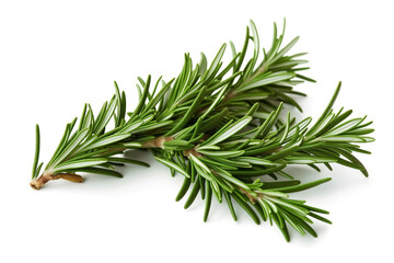 Fresh rosemary isolated on white background .Generative Ai.