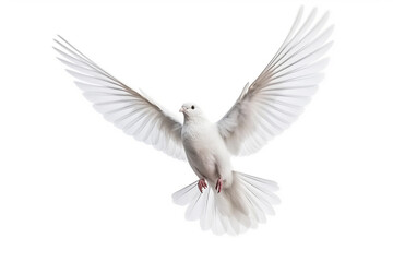 White bird flying isolated on white background.Generative Ai. - Powered by Adobe