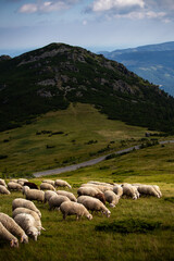 landscape "Kráľova hoľa" © Gabriel