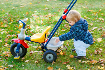 Cute little boy playing with tricycle bike outdoors. Happy child play in autumn park. Toddler baby...