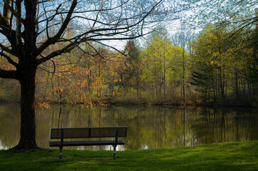 Obraz premium bench in the park