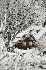 Wooden snowy cottage among the trees in Sumava national park
