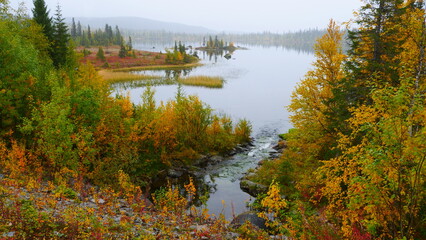 view on lake in nordic autumnally colored landscape