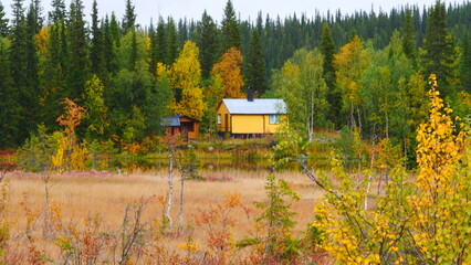 idyllic lonely located swedish houses in autumnally colored forest