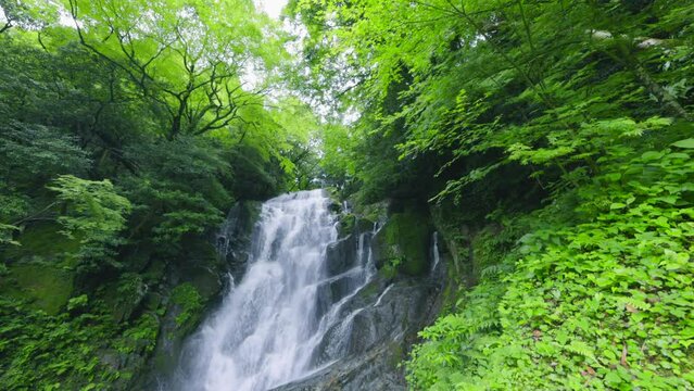 福岡県にあるマイナスイオンたっぷりの滝（糸島　白糸の滝）