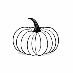 pumpkin on a white background