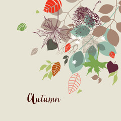 Autumn vector background with fall leaves