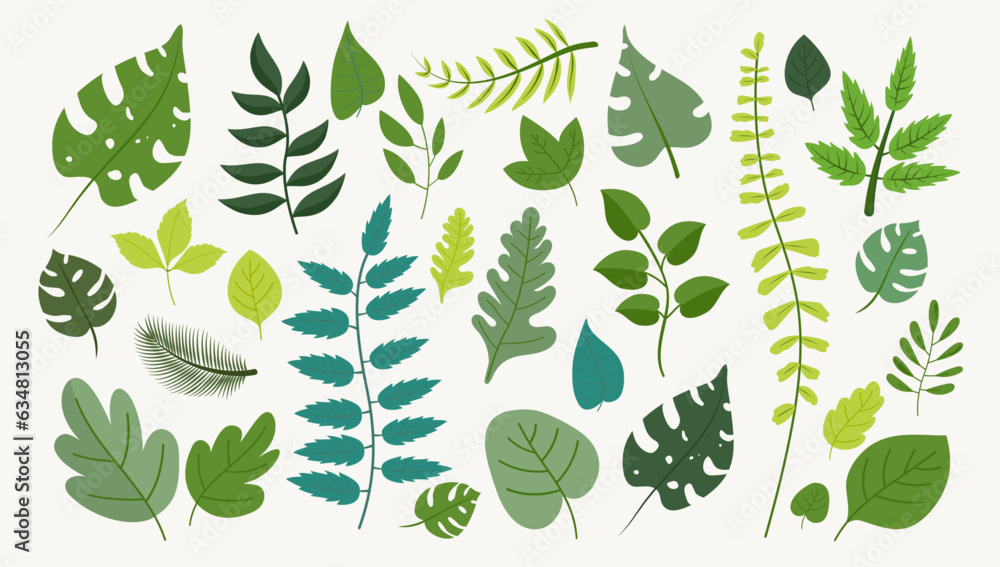 Poster vector leaves set - collection of various leaf design graphics in different shades of green colour. 