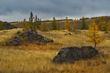 Russia. The South of Western Siberia, the Altai Mountains. The beginning of autumn on picturesque...
