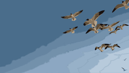 seagulls in the sky wallpapers
