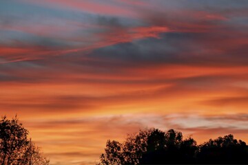 Fototapeta premium The clouds are multicolored, thunderous bizarre shapes against the blue sky
