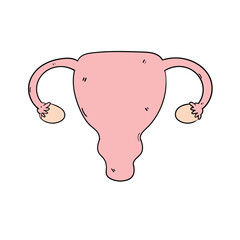 A hand-drawn cartoon female uterus or ovary on a white background.