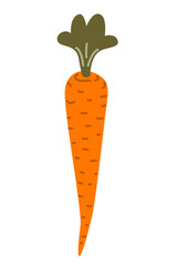 illustration of a carrot isolated on white background. Flat, simple design. Vector graphic of vegetable.