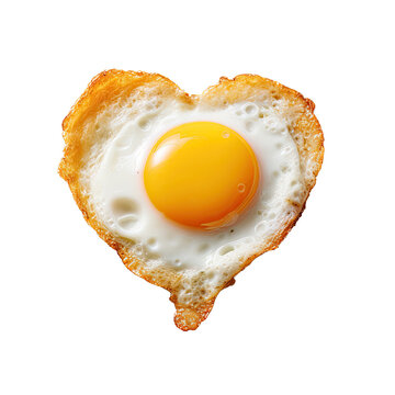 Sunny Side Up Fried Egg Vector, Sunny Side, Fried Egg, Egg PNG and