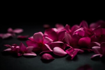Pink petals on black with blurry background. Generative AI