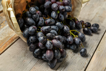 Wicker bowl with sweet black grapes on grey wooden background