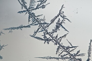  ice crystals and snowflakes in the winter freezing morning
