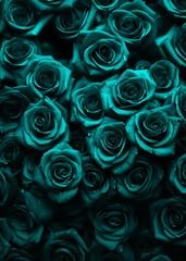 Teal Turquoise Roses Pattern Background Texture Illustration