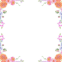 Watercolor botanical colourful frame of summer and autumn flowers: dahlia, zinnia, lathyrus, gillyflower, nasturtium. Good for wedding print products, paper, invitations, greetings, fabric, posters