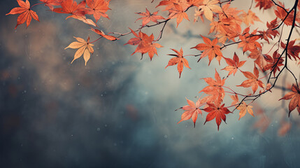 Fototapeta na wymiar Closeup of leaves on a branch in autumn. autumn background