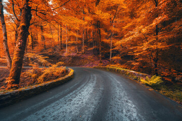 Road in beautiful red forest at sunrise in autumn in Plitvice lakes, Croatia. Beautiful mountain roadway, trees with orange leaves. Landscape with empty highway through the woods in fall. Nature