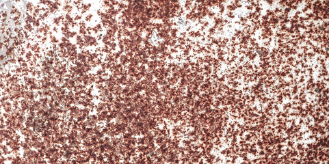 Rust of metals.Corrosive Rust on old iron.Use as illustration for presentation.Background rust texture as a panorama.	                         
