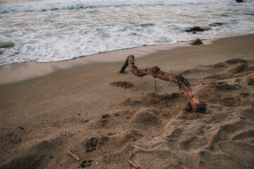 beach and sea