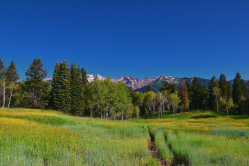 Tibble Fork hiking views from trail Lone Peak Wilderness Uinta Wasatch Cache National Forest, Rocky Mountains, Utah. United States.