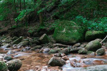 Naklejka na ściany i meble River flowing through rocks against trees and plants in forest