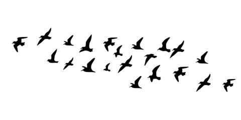 Fototapeta premium Flying birds silhouettes isolated on white background. Flying birds tattoo vector design. Bird flock in minimal style illustration. Vector illustration