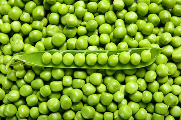 An open pod of fresh green peas lies on pea grains, top view. Background of sweet green peas.
