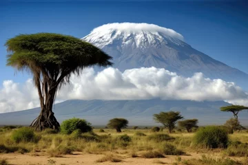 Foto auf Acrylglas Kilimandscharo Kilimanjaro majestic, snow and savannah meet., generative IA
