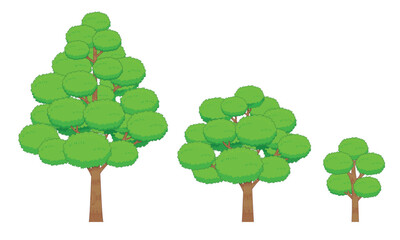 Collection Of Trees From Small To Large Green Tree, Three stages of tree growth, Vector illustration