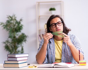 Young male student preparing for exams