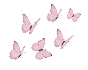 watercolor butterfly inspirational quote / Vector illustration design for t shirt graphics, fashion prints, slogan tees, stickers, cards, posters and other creative uses.