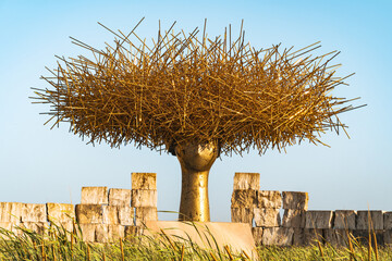 Golden grasses towering over head at Teatro del Silenzio amphitheater