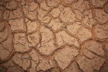 tierra agrietada por falta de agua. Sequía en la arcilla