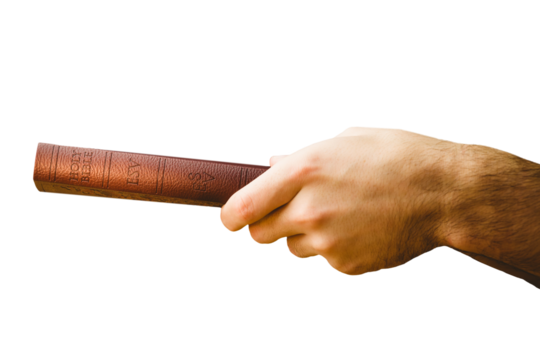 Digital png photo of hand holding bible on transparent background