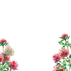 Frame of clover flowers and butterflies. Watercolor illustration of frame isolated on white background. Greeting cards, wedding invitations.