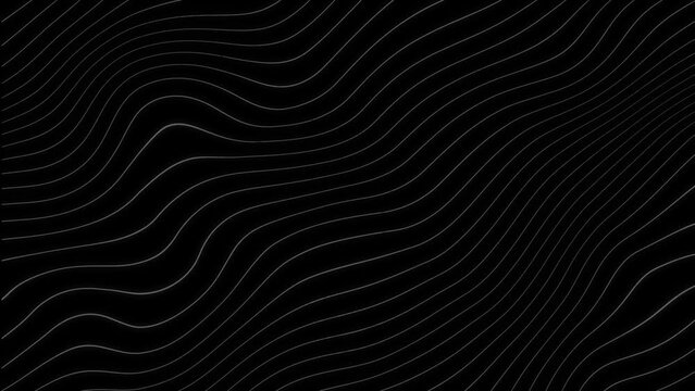 Abstract lines background looped. High quality 4k footage