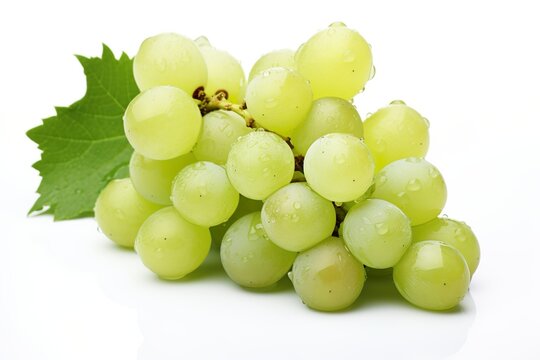 Vineyards, grape harvest food fruits background - Closeup of green white wet ripe grapes bunch with water drops, isolated on white background | Generative AI