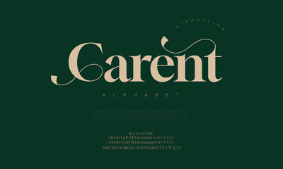 Carent premium luxury elegant alphabet letters and numbers. Elegant wedding typography classic serif font decorative vintage retro. Creative vector illustration
