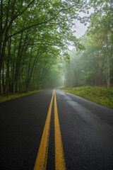 A foggy and rainy day at Acadia National Park in late summer