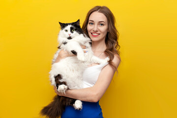 young cute girl holding black and white cat on yellow isolated background and smiling, woman with...