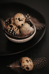 Farm Quail eggs set in a black ceramic plate on a black slate background.Organic natural bio quail...