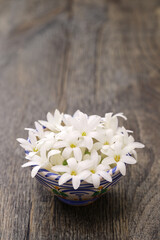 Tuberose flowers in a bowl